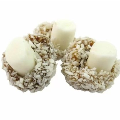 Coconut Mushrooms 100g